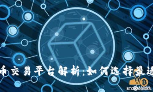 全球最大虚拟币交易平台解析：如何选择最适合的交易方式