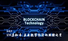 bao  UM虚拟币：未来数字经