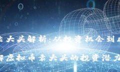 虚拟币袁大头解析：从投