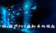 未来金融：国产POS虚拟币