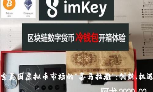 深入探索美国虚拟币市场的“喜马拉雅”：创新、机遇与挑战
