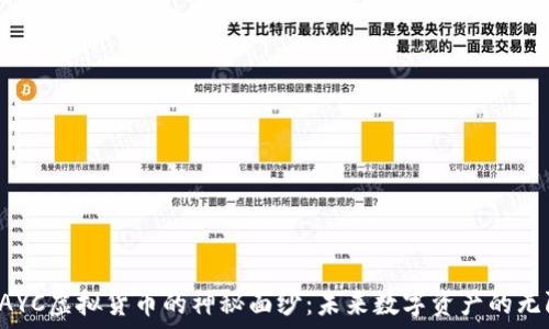   
揭开PAYC虚拟货币的神秘面纱：未来数字资产的无限可能