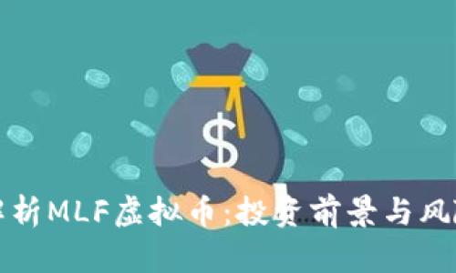 深入解析MLF虚拟币：投资前景与风险评估