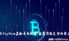 揭示PayNow虚拟币的秘密：