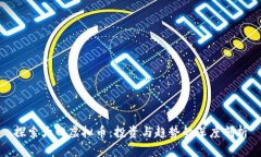 探索大田虚拟币：投资与