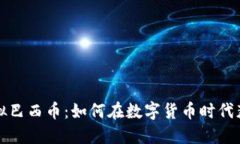 揭秘虚拟巴西币：如何在