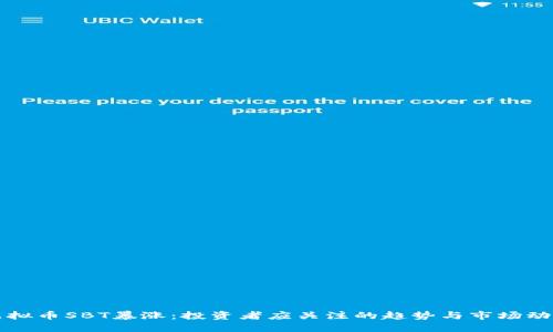 虚拟币SBT暴涨：投资者应关注的趋势与市场动态