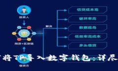 如何将TP导入数字钱包：详