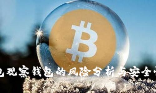 TP钱包观察钱包的风险分析与安全性指南