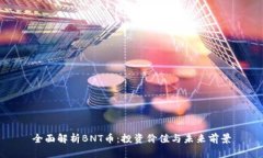 全面解析BNT币：投资价值
