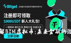 深入了解BIM虚拟币：未来