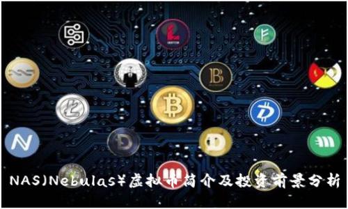 NAS(Nebulas)虚拟币简介及投资前景分析