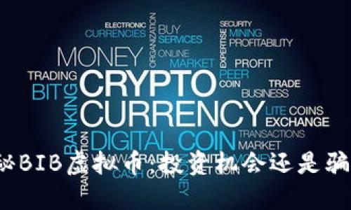 探秘BIB虚拟币：投资机会还是骗局？