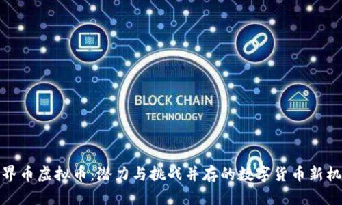 世界币虚拟币:潜力与挑战并存的数字货币新机遇