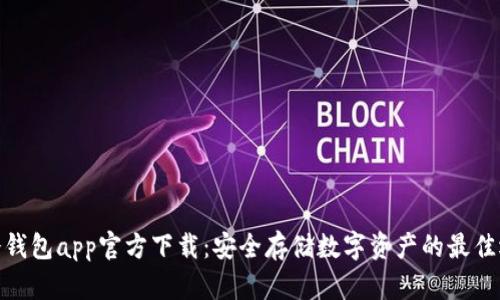 tp冷钱包app官方下载：安全存储数字资产的最佳选择