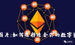 虚拟币钱包图片：如何选择适合你的数字资产存