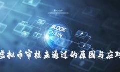 优质币安虚拟币审核未通过的原因与应对策略