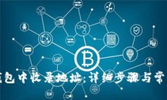 优质  如何在TP钱包中收录