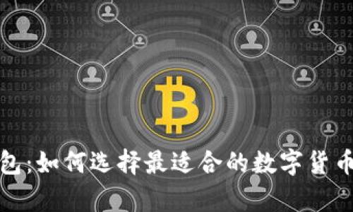 全球虚拟币钱包:如何选择最适合的数字货币存储解决方案