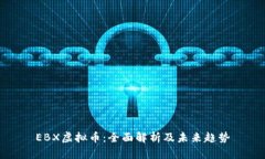 EBX虚拟币：全面解析及未