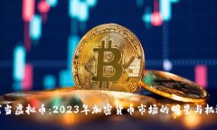 叮当虚拟币：2023年加密货
