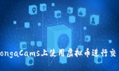 如何在BongaCams上使用虚拟