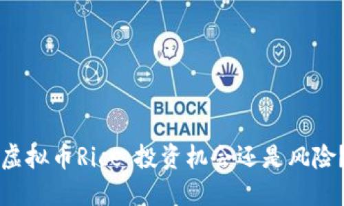 虚拟币Rice：投资机会还是风险？
