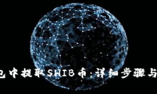  如何在TP钱包中提取SHIB币：详细步骤与常见问题解答