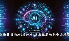 全面解析Naut虚拟币：未来