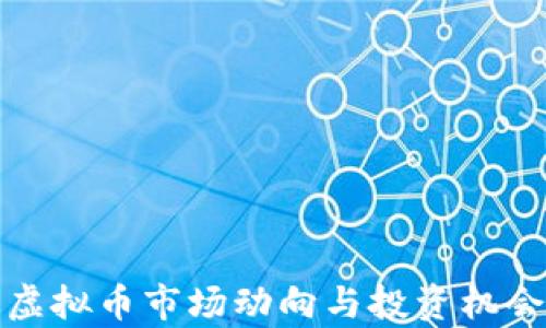 
最近虚拟币市场动向与投资机会分析