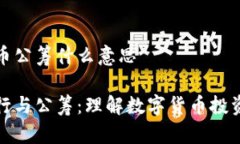 发行虚拟币公筹什么意思