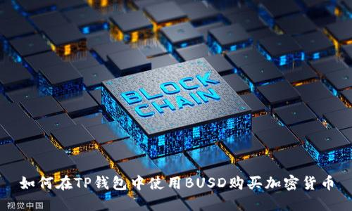 如何在TP钱包中使用BUSD购买加密货币