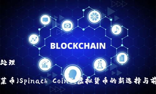 非处理

菠菜币（Spinach Coin）：虚拟货币的新选择与前景