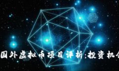 2023年国外虚拟币项目评析