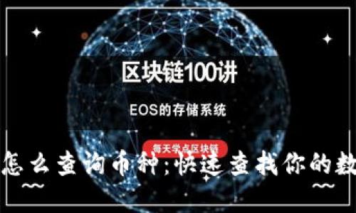 TP钱包怎么查询币种：快速查找你的数字资产