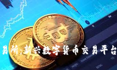 TP币交易所：新兴数字货币交易平台全解析