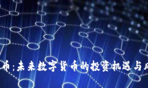 Bis虚拟币：未来数字货币的投资机遇与风险分析