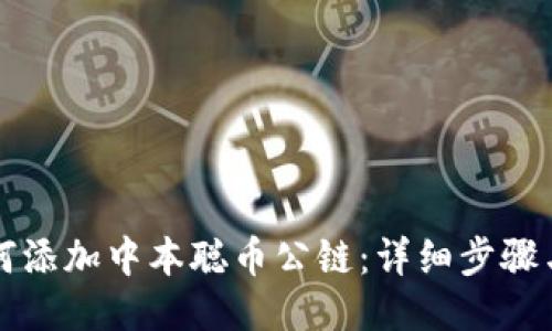 TP钱包如何添加中本聪币公链：详细步骤与用户指南