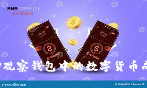 如何将TP观察钱包中的数字货币成功转出？