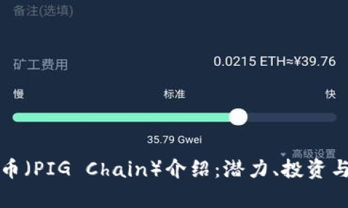 猪链虚拟币（PIG Chain）介绍：潜力、投资与应用前景