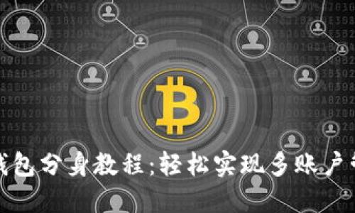 TP钱包分身教程：轻松实现多账户管理