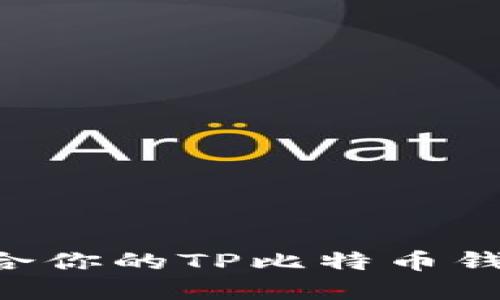 如何选择适合你的TP比特币钱包：全面指南