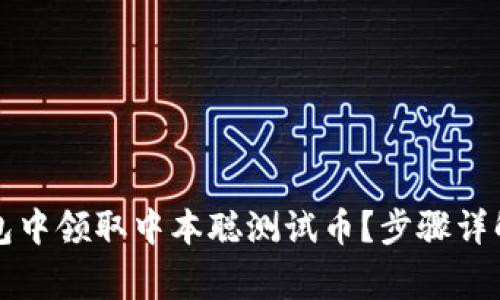 如何在TP钱包中领取中本聪测试币？步骤详解与常见问题