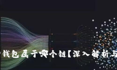 Doge币TP钱包属于哪个链？深入解析与全面解答