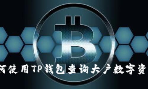 如何使用TP钱包查询大户数字资产？