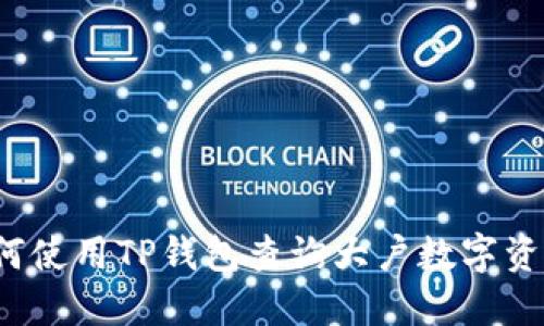 如何使用TP钱包查询大户数字资产？