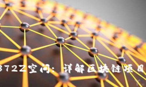 TP火币1338372Z空间: 详解区块链项目及其交易潜力