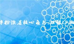 虚拟币LP池是什么意思在当