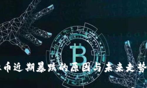 虚拟币近期暴跌的原因与未来走势分析