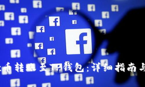 : 如何将Vidyx币转账至TP钱包：详细指南与常见问题解答